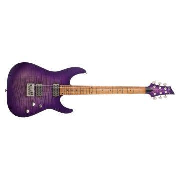 C-1 STANDARD PLUS TRAND PURPLE BURST