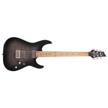 C-1 STANDARD PLUS TRANS BLACK BURST